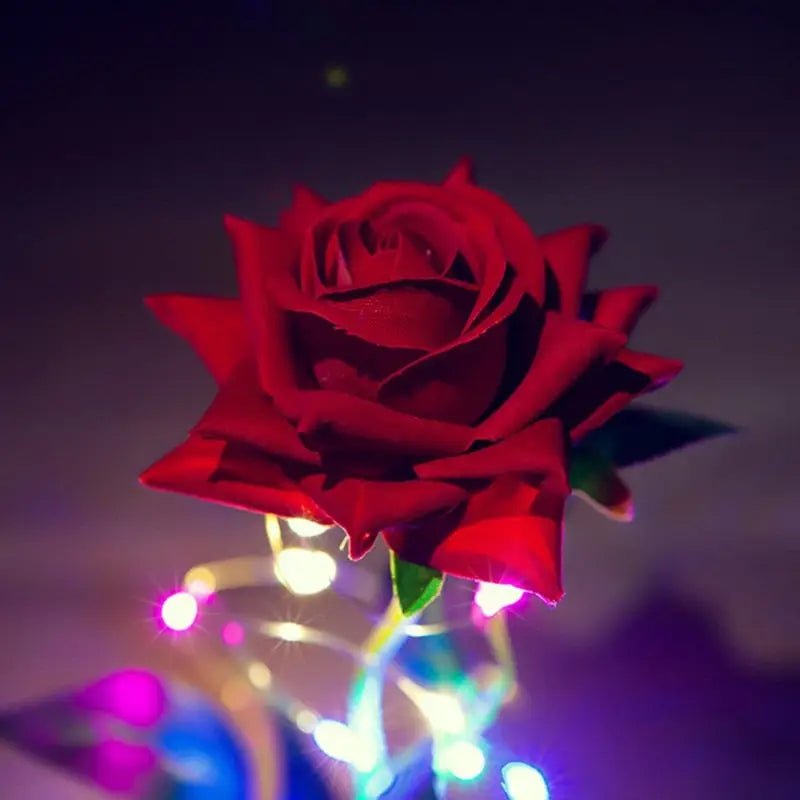 Immortal Rose Lamp with Elegant Flower Encased in LED Light - Cosparty