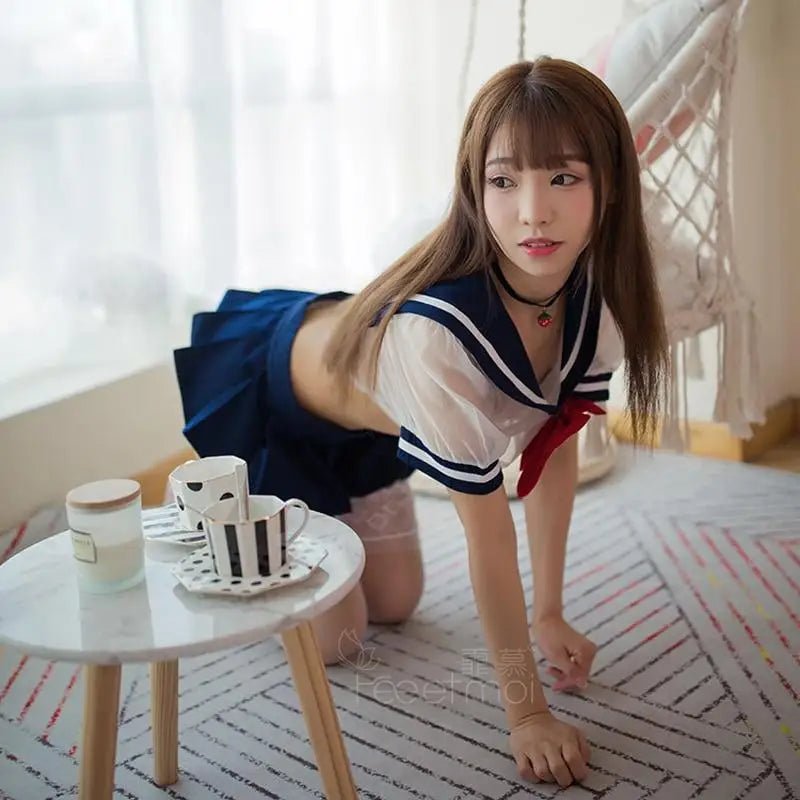 Sweet School Girl Inspired Lingerie Set with Berry and Mesh Details - Cosparty