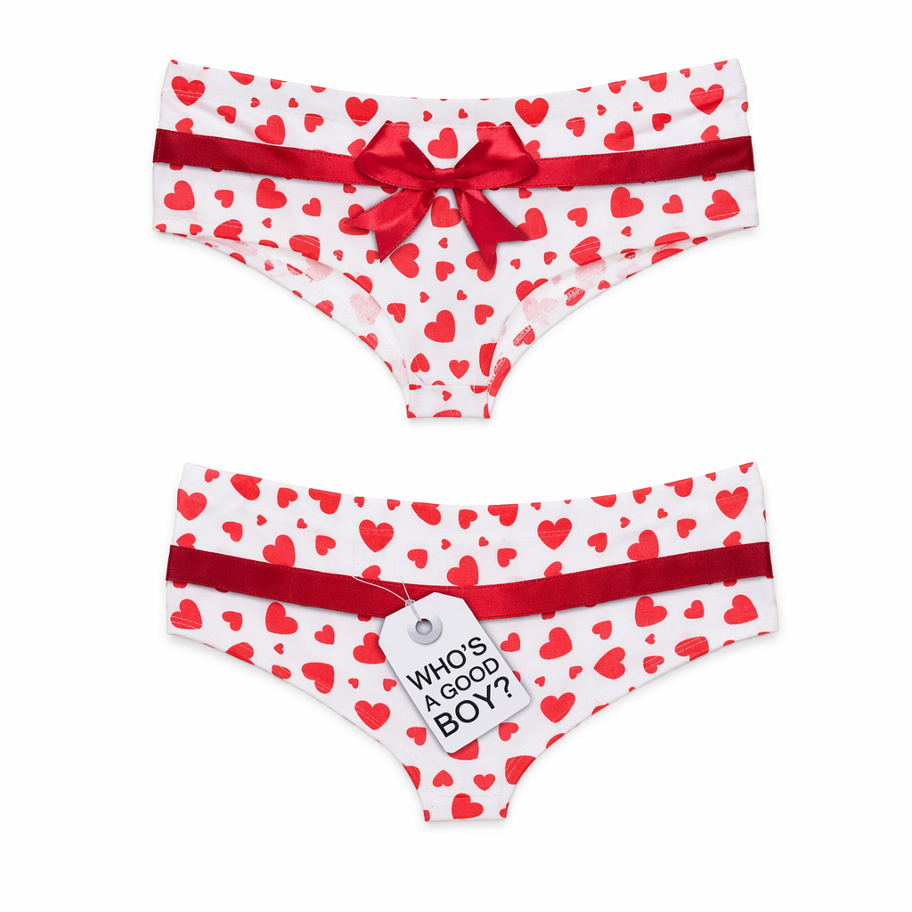 Pastel Fairy Kei Pocket Undies with Cheeky Sayings Ribbon