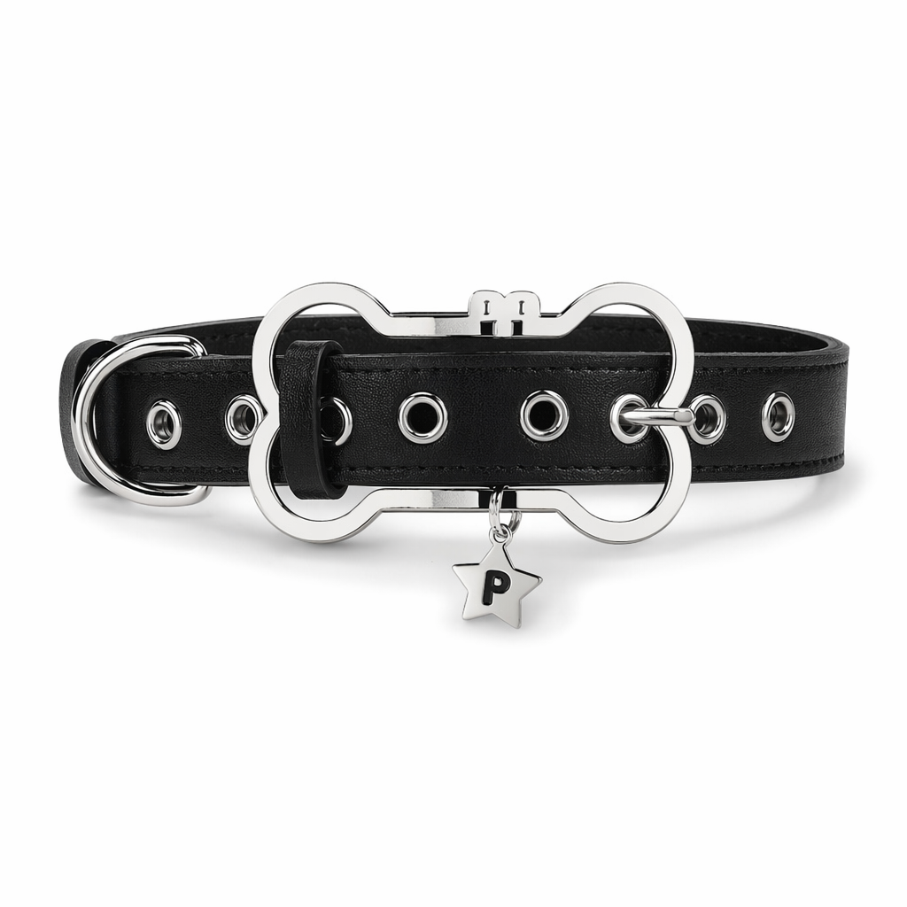 Puppy Bone Collar with Secure Gothic Buckle and Vegan Leather Black
