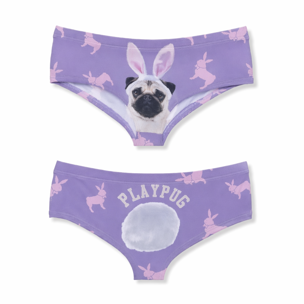 Pastel Fairy Kei Pocket Undies with Cheeky Sayings Pug Face