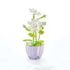 Building Block Flower Planter Set for Indoor Garden Oasis - Cosparty