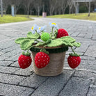 Crochet Strawberry Plants for Whimsical Home Decor - Cosparty
