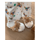 Fuzzy Hamster Slippers for Year - Round Comfort and Coziness - Cosparty