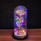 Immortal Rose Lamp with Elegant Flower Encased in LED Light - Cosparty
