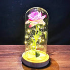 Immortal Rose Lamp with Elegant Flower Encased in LED Light - Cosparty