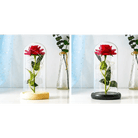 Immortal Rose Lamp with Elegant Flower Encased in LED Light - Cosparty