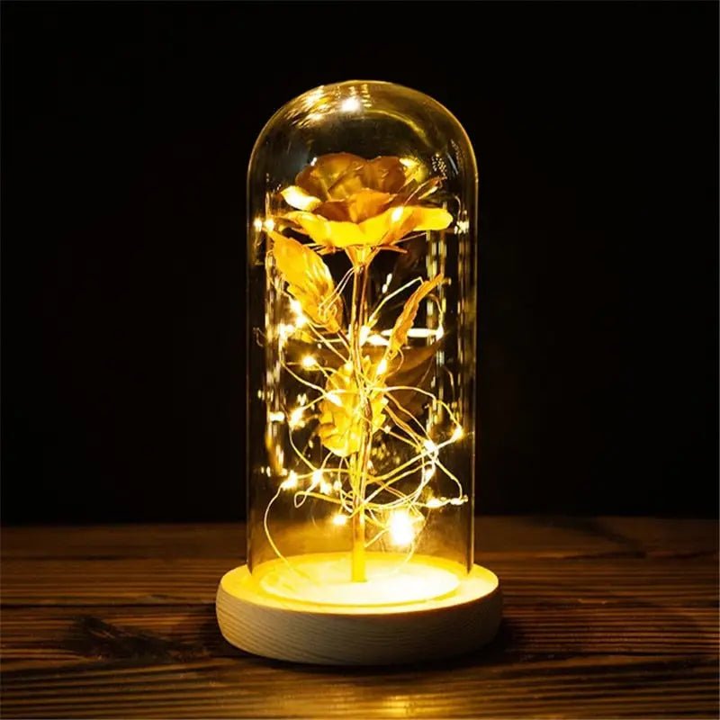 Immortal Rose Lamp with Elegant Flower Encased in LED Light - Cosparty