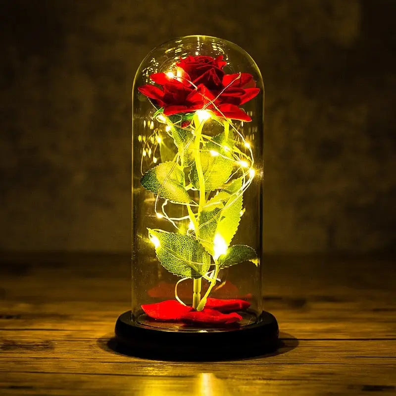 Immortal Rose Light - beauty and the beast, flower, flowers, lamp, lamps Cosparty