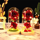 Immortal Rose Lamp with Elegant Flower Encased in LED Light - Cosparty