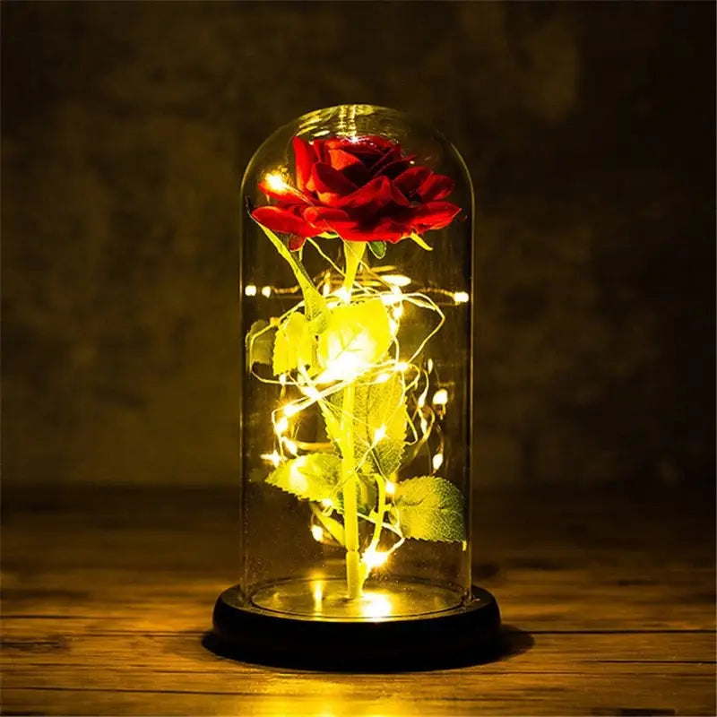 Immortal Rose Light - beauty and the beast, flower, flowers, lamp, lamps Cosparty