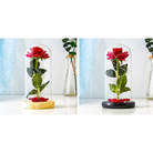 Immortal Rose Lamp with Elegant Flower Encased in LED Light - light