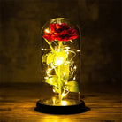 Immortal Rose Lamp with Elegant Flower Encased in LED Light - Cosparty