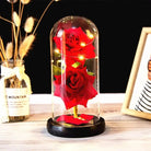 Immortal Rose Lamp with Elegant Flower Encased in LED Light - Cosparty