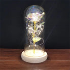 Immortal Rose Lamp with Elegant Flower Encased in LED Light - Cosparty