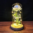 Immortal Rose Lamp with Elegant Flower Encased in LED Light - Cosparty