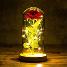 Immortal Rose Lamp with Elegant Flower Encased in LED Light - Cosparty