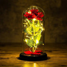 Immortal Rose Lamp with Elegant Flower Encased in LED Light - Cosparty