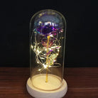 Immortal Rose Lamp with Elegant Flower Encased in LED Light - Cosparty