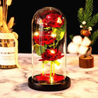 Immortal Rose Lamp with Elegant Flower Encased in LED Light - Cosparty