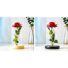 Immortal Rose Lamp with Elegant Flower Encased in LED Light - light