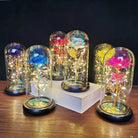 Immortal Rose Lamp with Elegant Flower Encased in LED Light - Cosparty