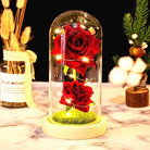 Immortal Rose Lamp with Elegant Flower Encased in LED Light - Cosparty