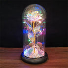 Immortal Rose Lamp with Elegant Flower Encased in LED Light - Cosparty
