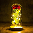 Immortal Rose Lamp with Elegant Flower Encased in LED Light - Cosparty