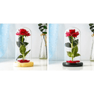 Immortal Rose Lamp with Elegant Flower Encased in LED Light - Cosparty