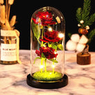 Immortal Rose Lamp with Elegant Flower Encased in LED Light - Cosparty