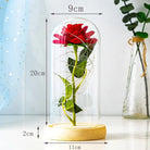 Immortal Rose Lamp with Elegant Flower Encased in LED Light - light