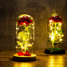 Immortal Rose Lamp with Elegant Flower Encased in LED Light - light