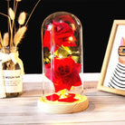 Immortal Rose Lamp with Elegant Flower Encased in LED Light - Cosparty