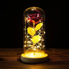 Immortal Rose Lamp with Elegant Flower Encased in LED Light - Cosparty