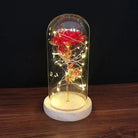Immortal Rose Lamp with Elegant Flower Encased in LED Light - Cosparty