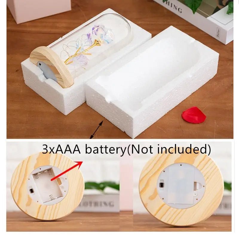 Immortal Rose Lamp with Elegant Flower Encased in LED Light - Cosparty