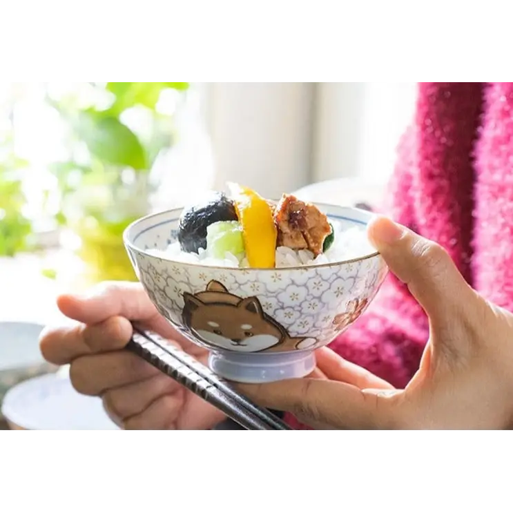 Kawaii Oriental Noodle Bowls for Delightful Mealtime Charm - bowl