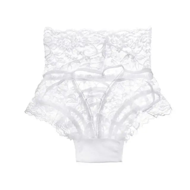 Lacy Corset Back Panties with Silk Ribbon in Plus Sizes - Cosparty