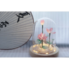 LED Lotus Night Light - lamp, lamps, lighting, lights, night light Cosparty