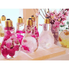 Light Bulb Shaped Water Bottles for Unique Gifting and Lunches - Cosparty