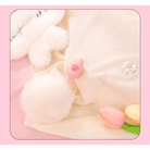 Luxury Paw Tail Plug Set for Pet Play and Cosplay Adventures - Cosparty