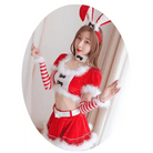 Mrs. Clause Inspired Festive Holiday Lingerie Outfit - Cosparty