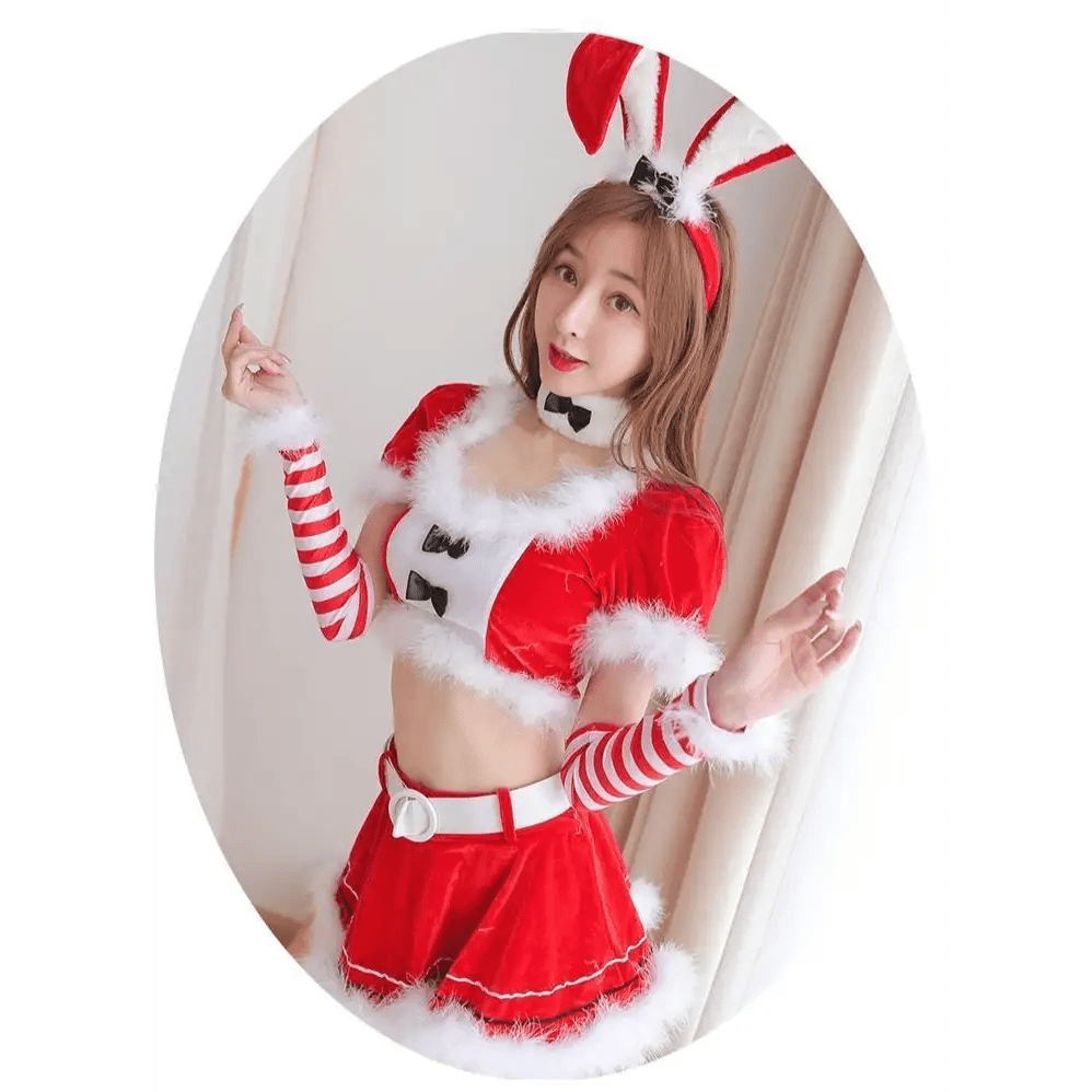 Mrs. Clause Inspired Festive Holiday Lingerie Outfit - Cosparty