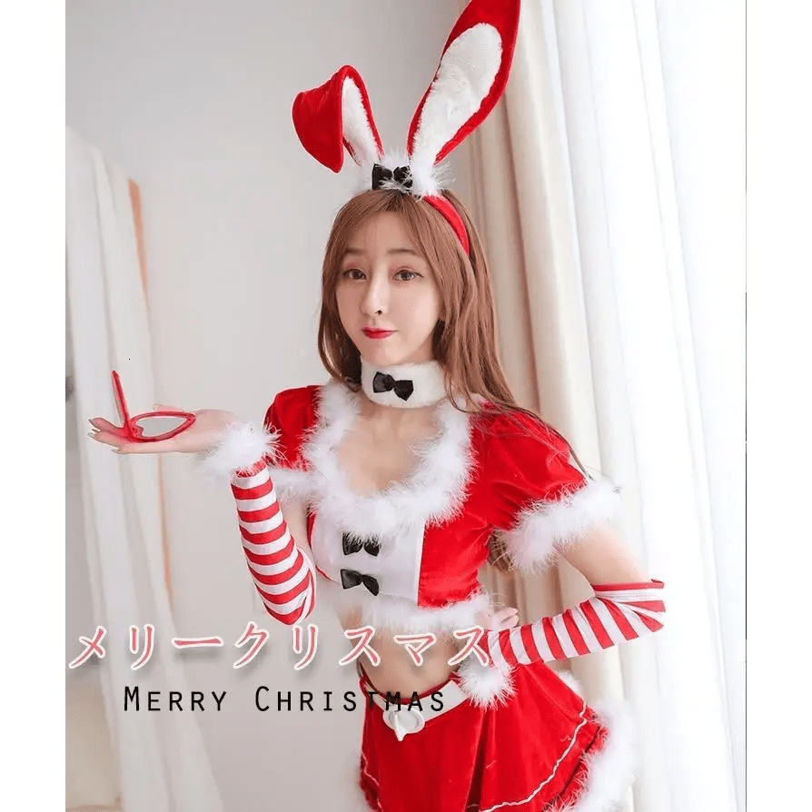 Mrs. Clause Inspired Festive Holiday Lingerie Outfit - Cosparty