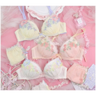 Pastel Floral Embroidered Lingerie Set for Kawaii Fashion Lovers - underwear