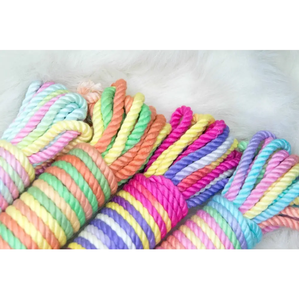 Pride Rainbow Shibari Rope for Creative and Vibrant Playtime - rope