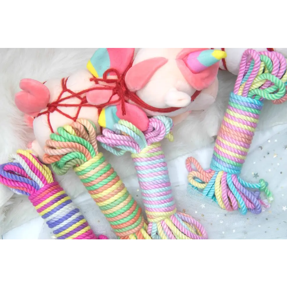 Pride Rainbow Shibari Rope for Creative and Vibrant Playtime - rope