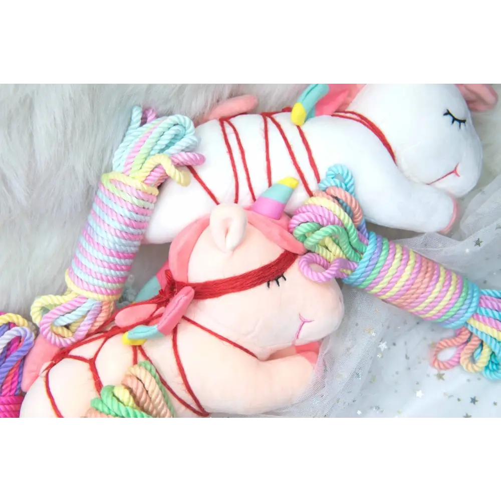 Pride Rainbow Shibari Rope for Creative and Vibrant Playtime - rope