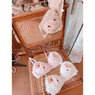 Ultra Plush Teddy Bear Lingerie Set for Cuties - Cosparty